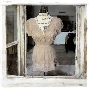 BCBGMaxAzria Beige Lace Top